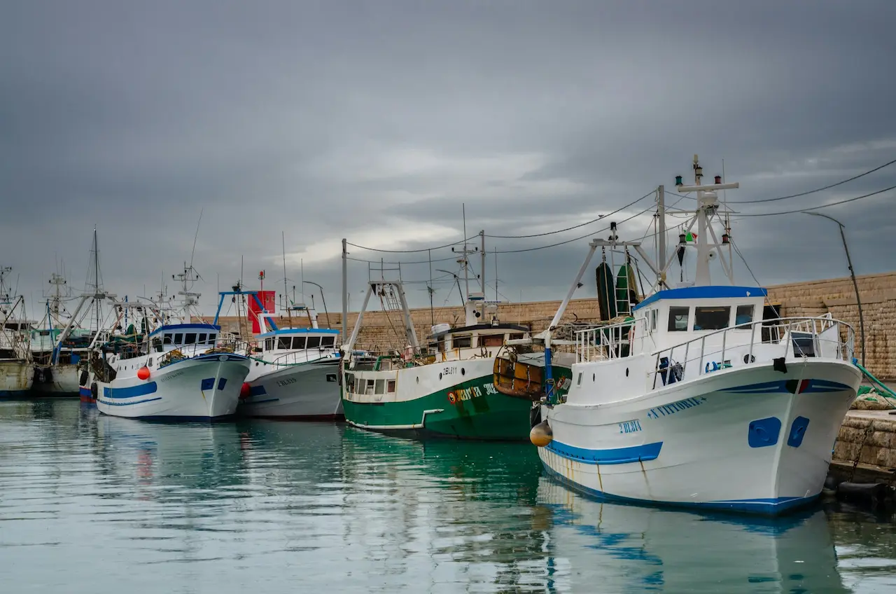 Albany Fishing Charters